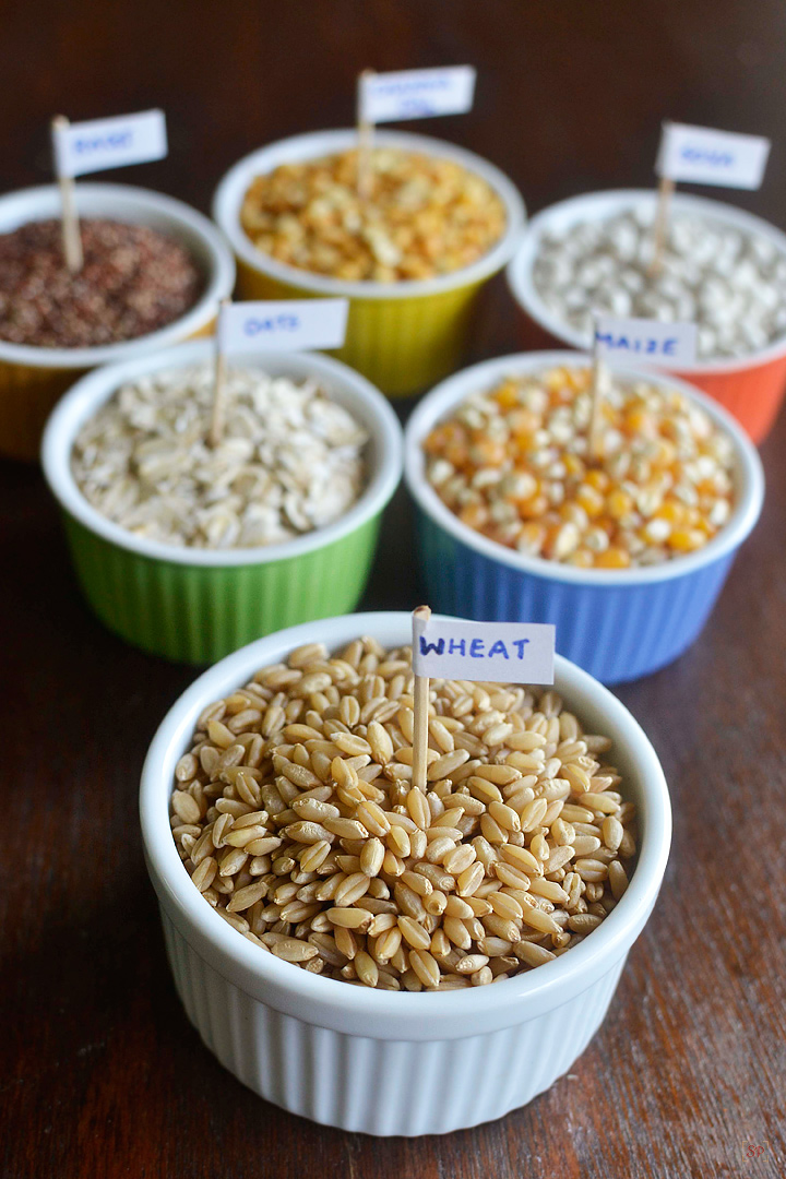 multigrain atta ingredients