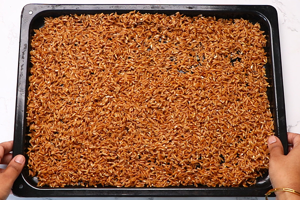 whole wheat rinsed well and spread on a tray