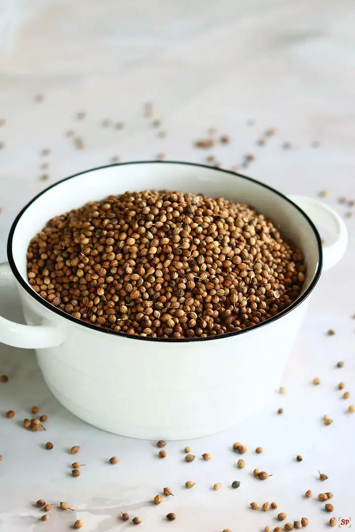 coriander seeds kept in a white bowl with a spatula