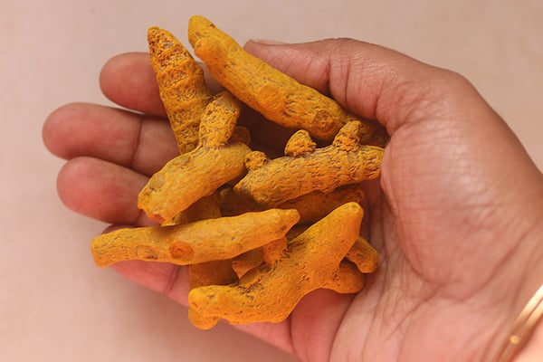dried turmeric roots