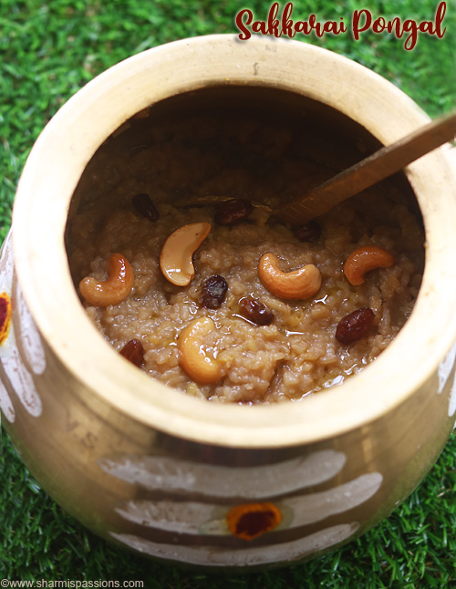 sakkarai pongal traditional pot method