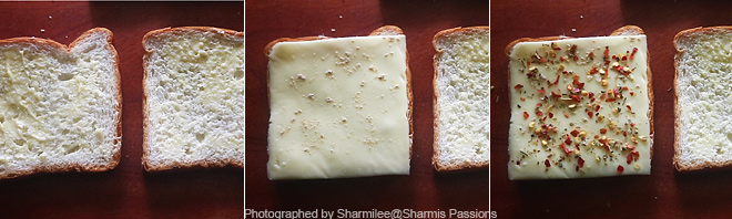 grilled cheese sandwich recipe