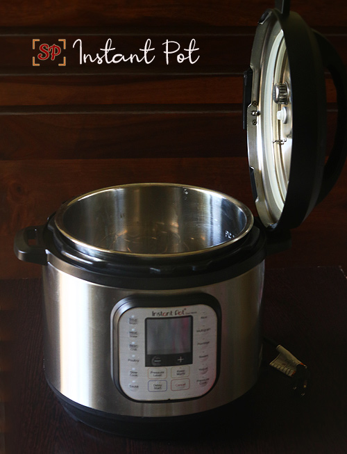 Instant Pot Beginner's Guide (Tips & FAQs) - Cook With Manali