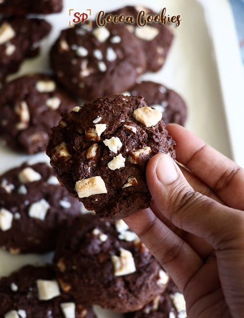 white chocolate cocoa cookies recipe