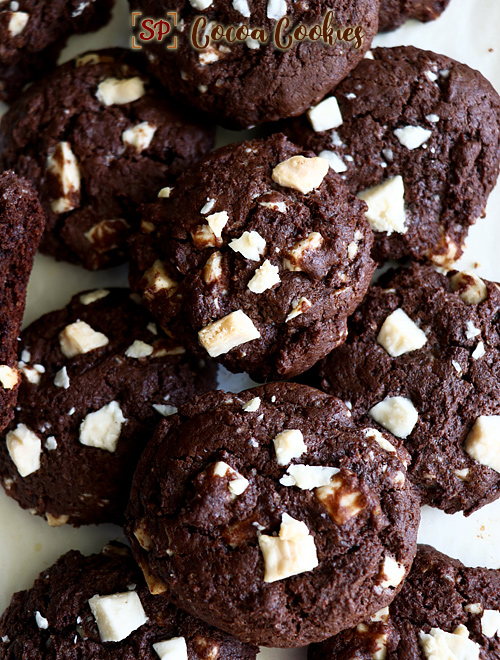 white chocolate cocoa cookies recipe