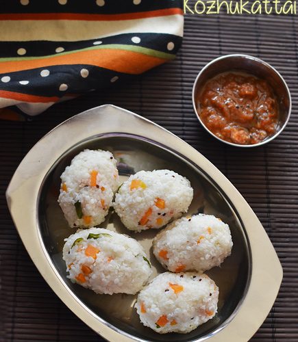 Katta semiz mushuk surati