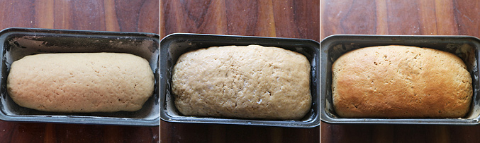 How to make brown bread recipe- Step10