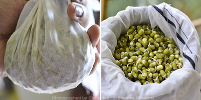 Homemade Sprouts Recipe - Step1