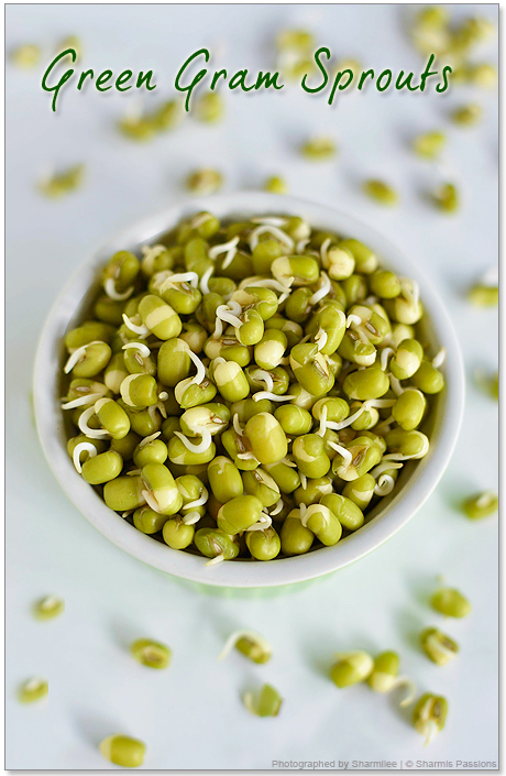 Homemade Sprouts Recipe