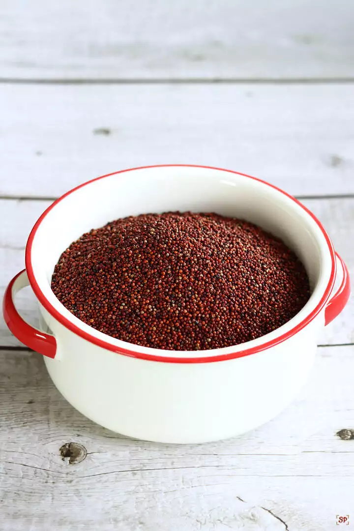 finger millet placed in a white bowl