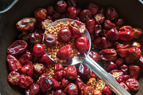 roast red chilies, urad dal until golden