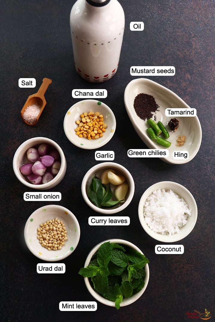 ingredients needed to make mint chutney