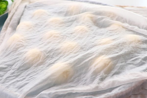 cover with wet cloth