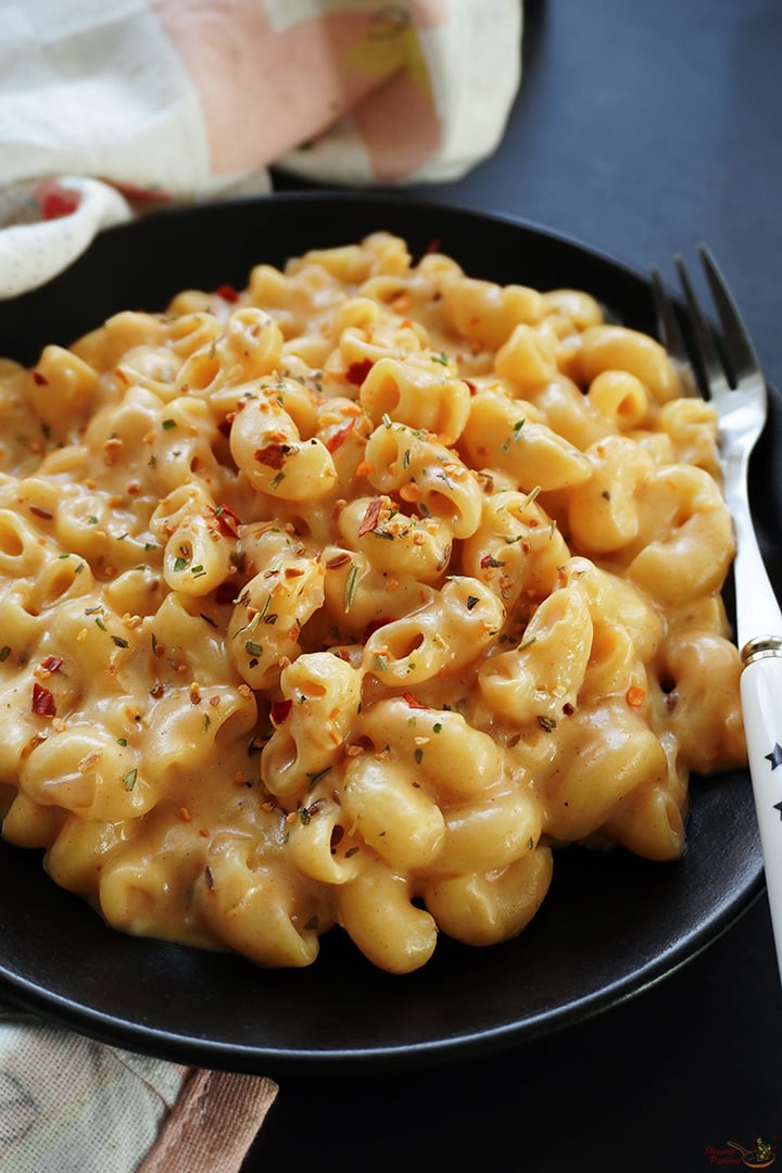 creamy macaroni pasta served