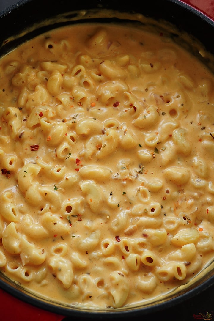 creamy macaroni pasta just made