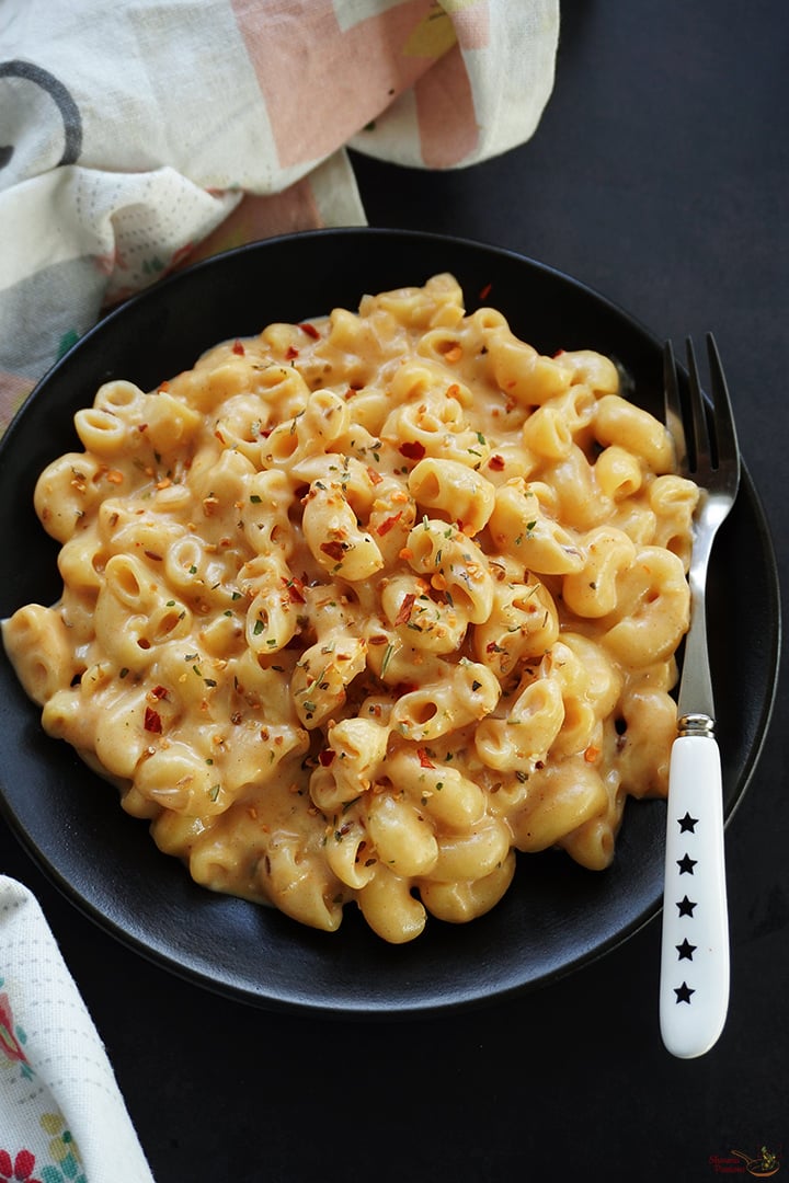 creamy macaroni pasta served